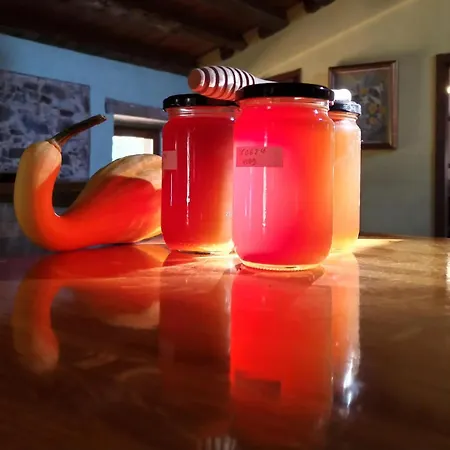 公寓 Rectoria Santuari Del Coll Ideal Families