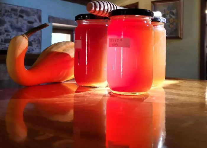 Lägenhet Rectoria Santuari Del Coll Ideal Families